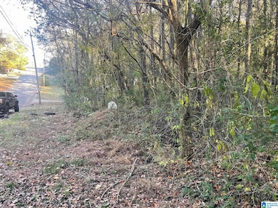 529 Foxfire Dr, Gardendale, AL 35071 - photo 2