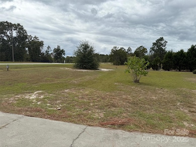 1074 Jones Rd, Kershaw, SC 29067 - photo 5