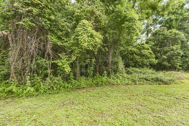 2785 Parental Home Rd, Jacksonville, FL 32216 - photo 6