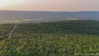 7 Moonshine Dr, Clayton, OK 74536 - photo 2