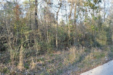 0 Bateman Rd, Franklinton, LA 70438 - photo 6