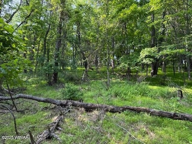 105 Selkirk Road Wmspt. 6