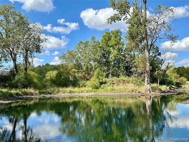 9810 Iosco Ridge Dr, Iosco Township, MI 48137 - photo 4