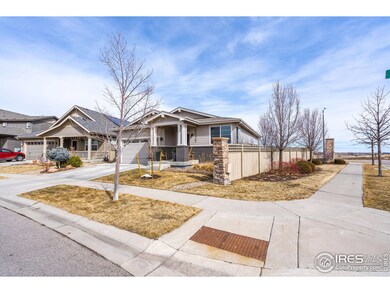 4050 Wild Elm Way, Fort Collins, CO 80528 - photo 4