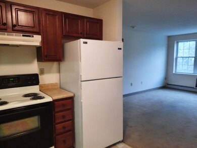 486 Nashua St unit 215, Milford, NH 03055 - photo 3