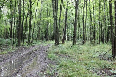 0 State Route 167 unit 4136104, Denmark, OH 44047 - photo 6