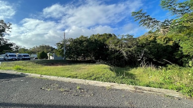 402 Km 3 9, Anasco, PR 00610 - photo 5