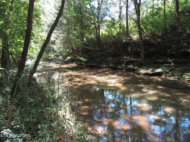 CREEK 1