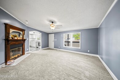 62-_DSC8246