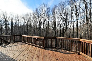 1601 Angelwing Dr, Silver Spring, MD 20904 - photo 6