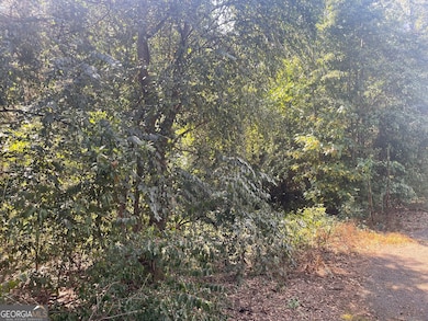 207 Morris St, Palmetto, GA 30268 - photo 3