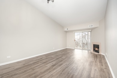 734 N Gary Ave unit 210, Carol Stream, IL 60188 - photo 3