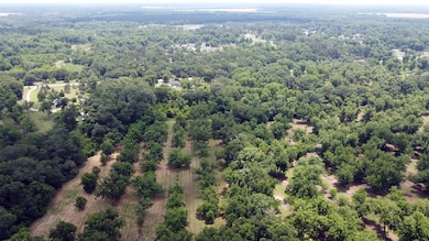 0 Hwy 3n unit 161947, Baconton, GA 31716 - photo 3