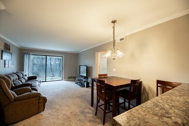 Living & Dining