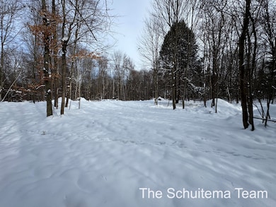 V/L Hickory St, Fruitport, MI 49415 - photo 4