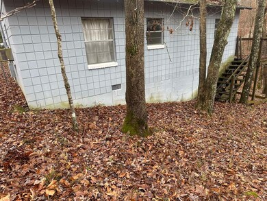 31 Lynwood Dr unit 31 Linwood Ct, Clarkson, KY 42726 - photo 6