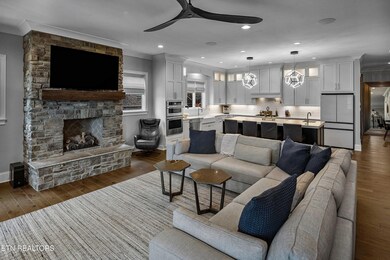 living rm fireplace area