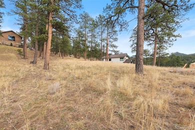 5236 Mountain Vista Ln unit 5, Evergreen, CO 80439 - photo 6