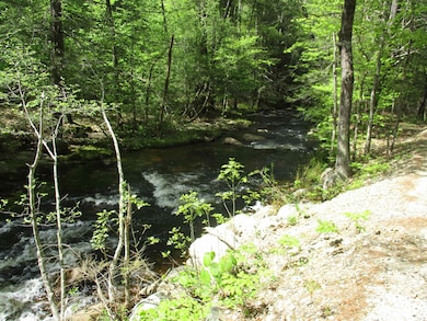 Bog Brook