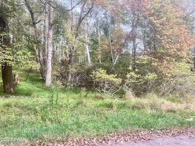 0 Gold Key Rd, Dingman Township, PA 18337 - photo 4