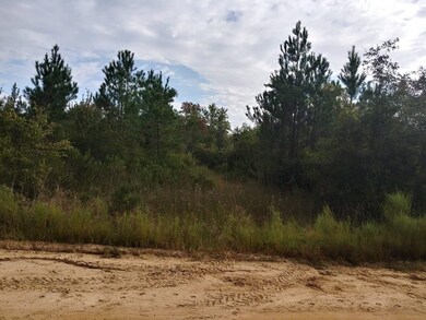 300 Nancy Ln, Ailey, GA 30401 - photo 3