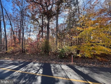 616 Mt Pleasant Dr, Locust Grove, VA 22508 - photo 4