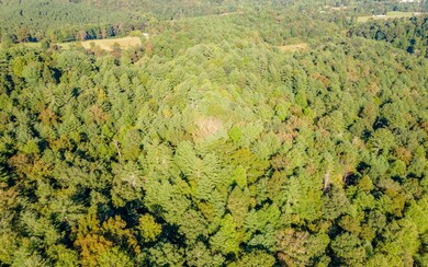 Additional View