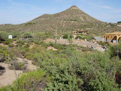 Lone Mtn views