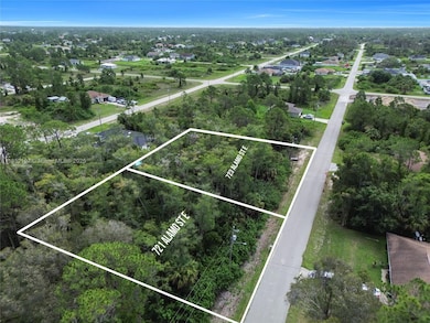723 Alamo St E, Lehigh Acres, FL 33974 - photo 3