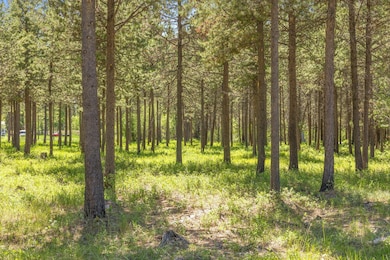 17113 Covina Rd, Bend, OR 97707 - photo 4