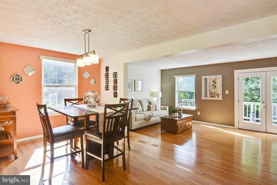 545 Bay Dale Ct, Arnold, MD 21012 - photo 7