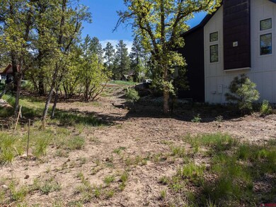 43 Terra Blue Way, Durango, CO 81301 - photo 3