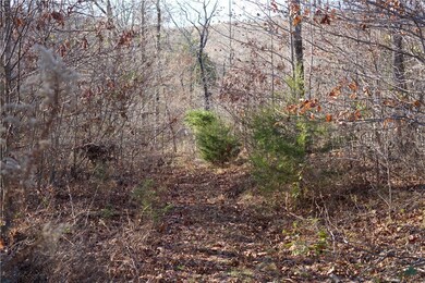 0 Big Spring Rd unit 1235038, Winslow, AR 72959 - photo 4