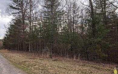 LT 10 Creekside Ln, Mineral Bluff, GA 30559 - photo 4