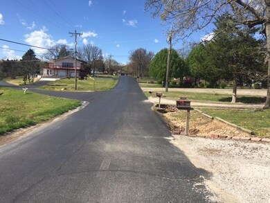 Lot 4 Hoot Owl Pt 4th Addn, Kimberling City, MO 65686 - photo 3