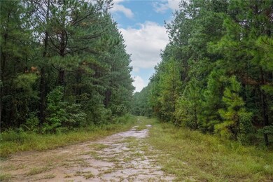 Property Access Road - Juniper Ln SW Rd