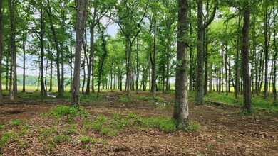 0 Fredonia Rd unit RTC2658031, Manchester, TN 37355 - photo 5