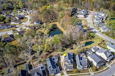 Beautiful Aerial View