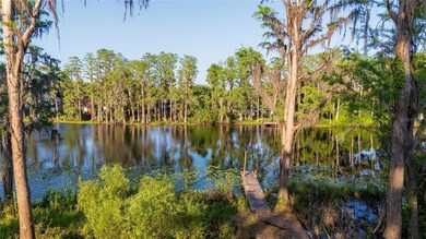 16213 Dew Drop Ln, Tampa, FL 33625 - photo 7