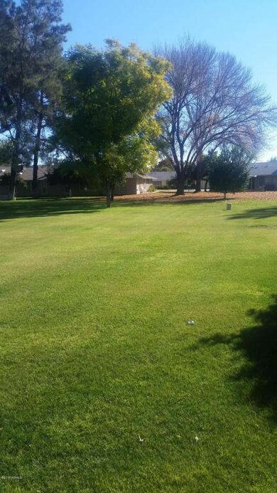 Amazing backyard view!