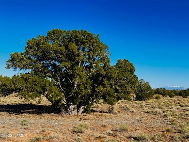 4117 Red Butte Rd unit Lot B, Williams, AZ 86046 - photo 7