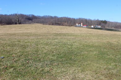 8047 Webster Rd (Rader Family Farm) unit 8047, Summersville, WV 26651 - photo 2