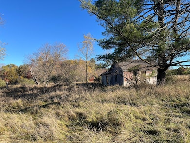 Par A Monroe Rd, Lakeview, MI 48850 - photo 5