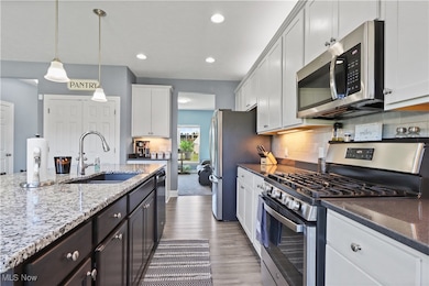 807 Asbury Pointe Ln, Painesville, OH 44077 - photo 5