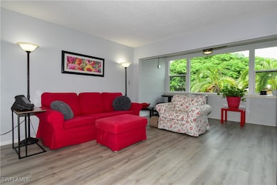 Impact windows and new LVP flooring