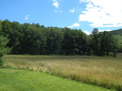 Mix of fields and woodlot