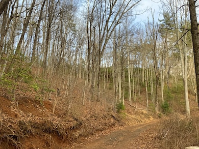 Lot 12 Ivy Log Dr, Murphy, NC 28906 - photo 3