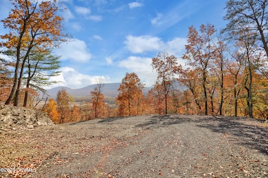 00 State 150 Route, Avis, PA 17721 - photo 6