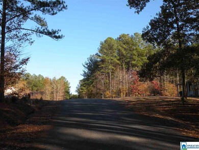 0 Stone Briar Dr unit 1 869140, Sylacauga, AL 35150 - photo 3
