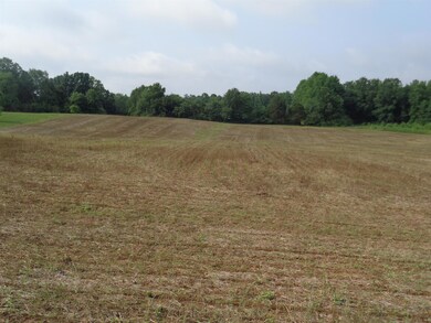 1 Old Seminary Rd, Manchester, TN 37355 - photo 2